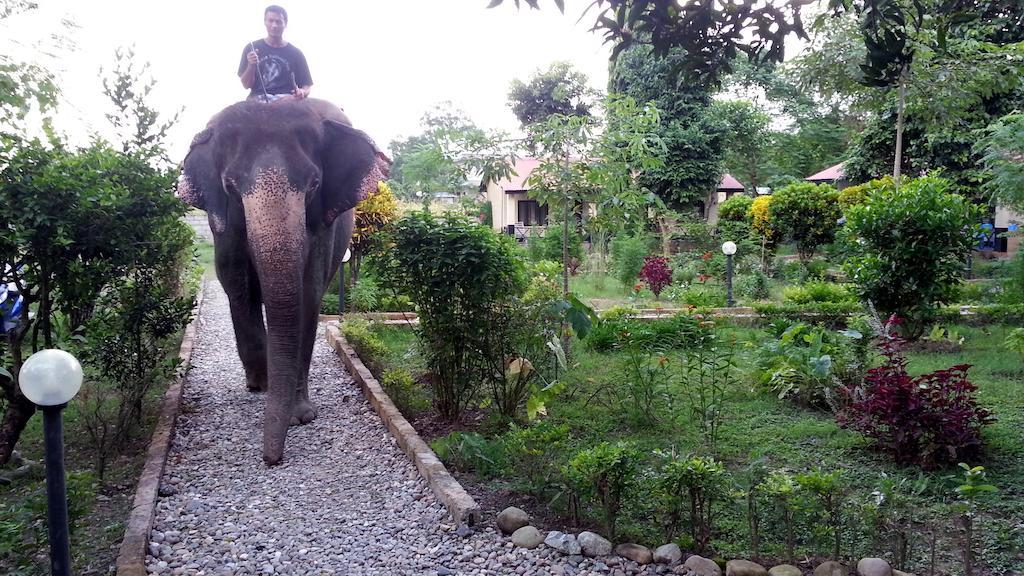 Chitwan Safari Camp & Lodge Sauraha Eksteriør bilde