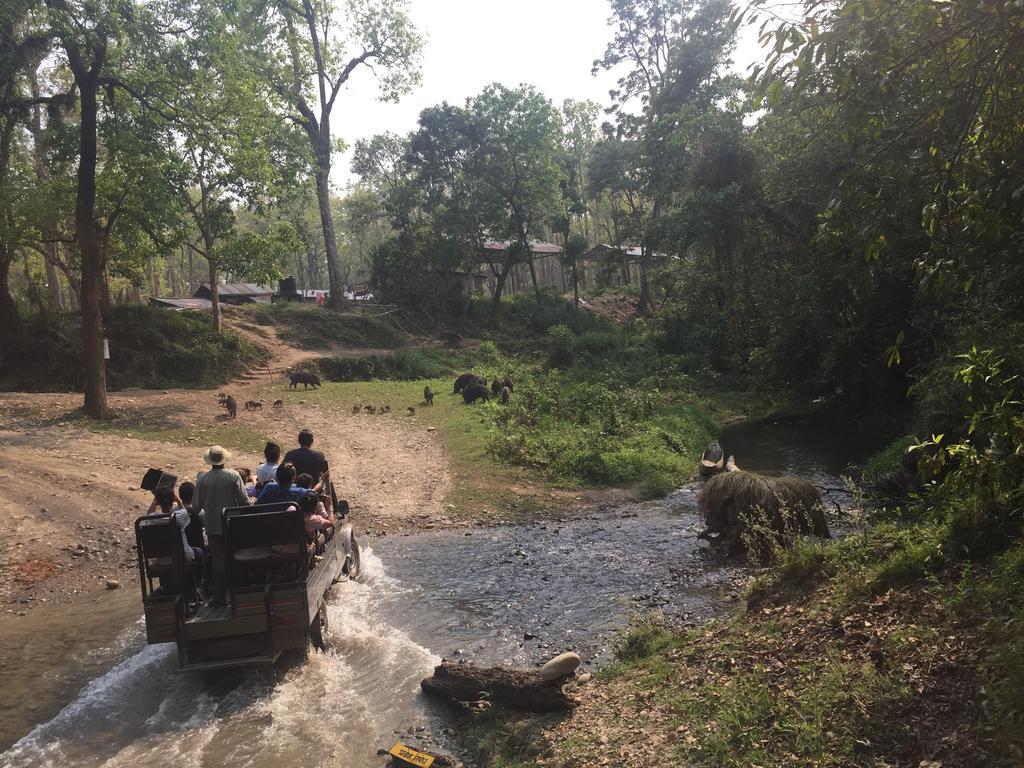 Chitwan Safari Camp & Lodge Sauraha Eksteriør bilde