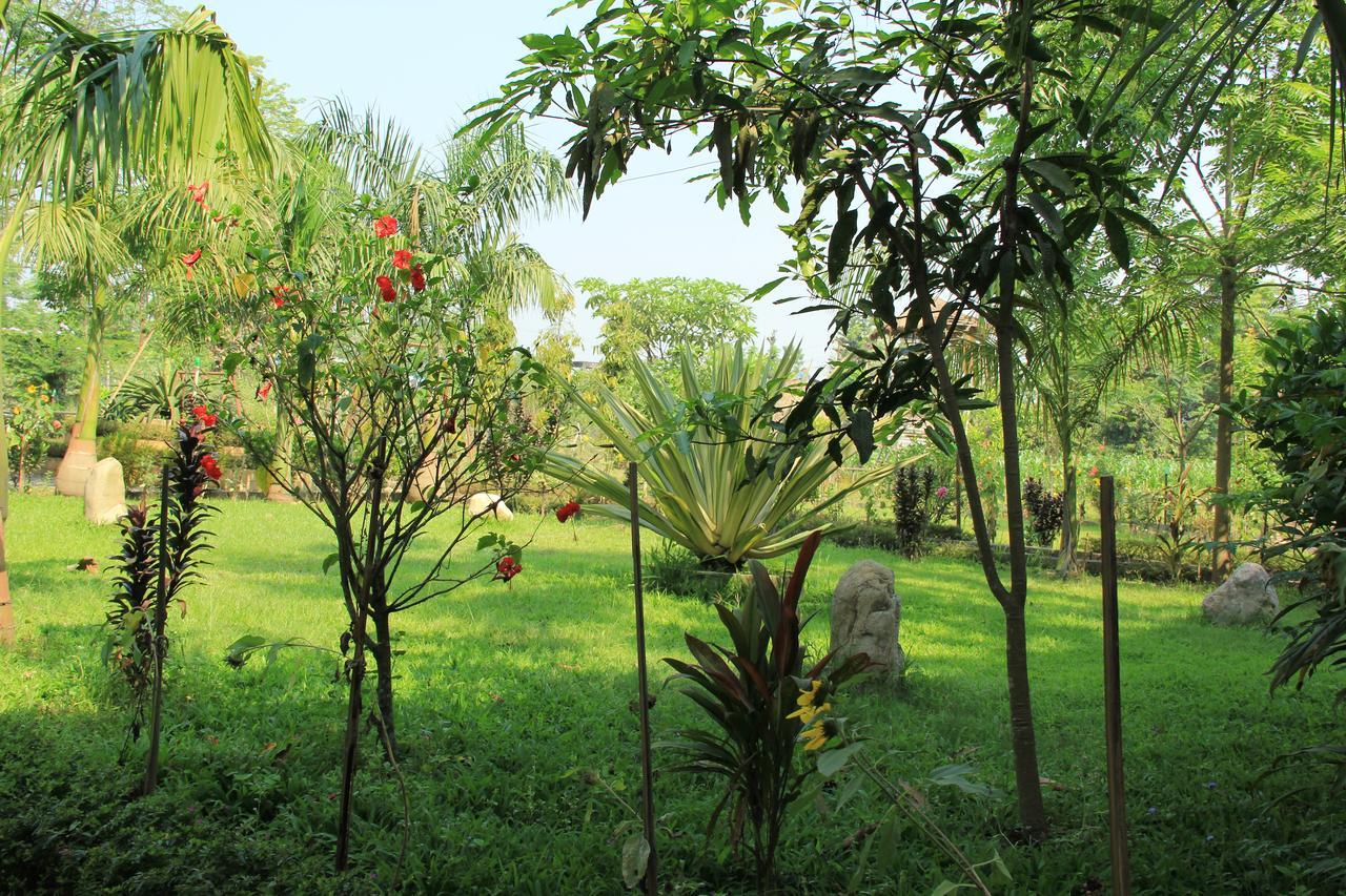 Chitwan Safari Camp & Lodge Sauraha Eksteriør bilde