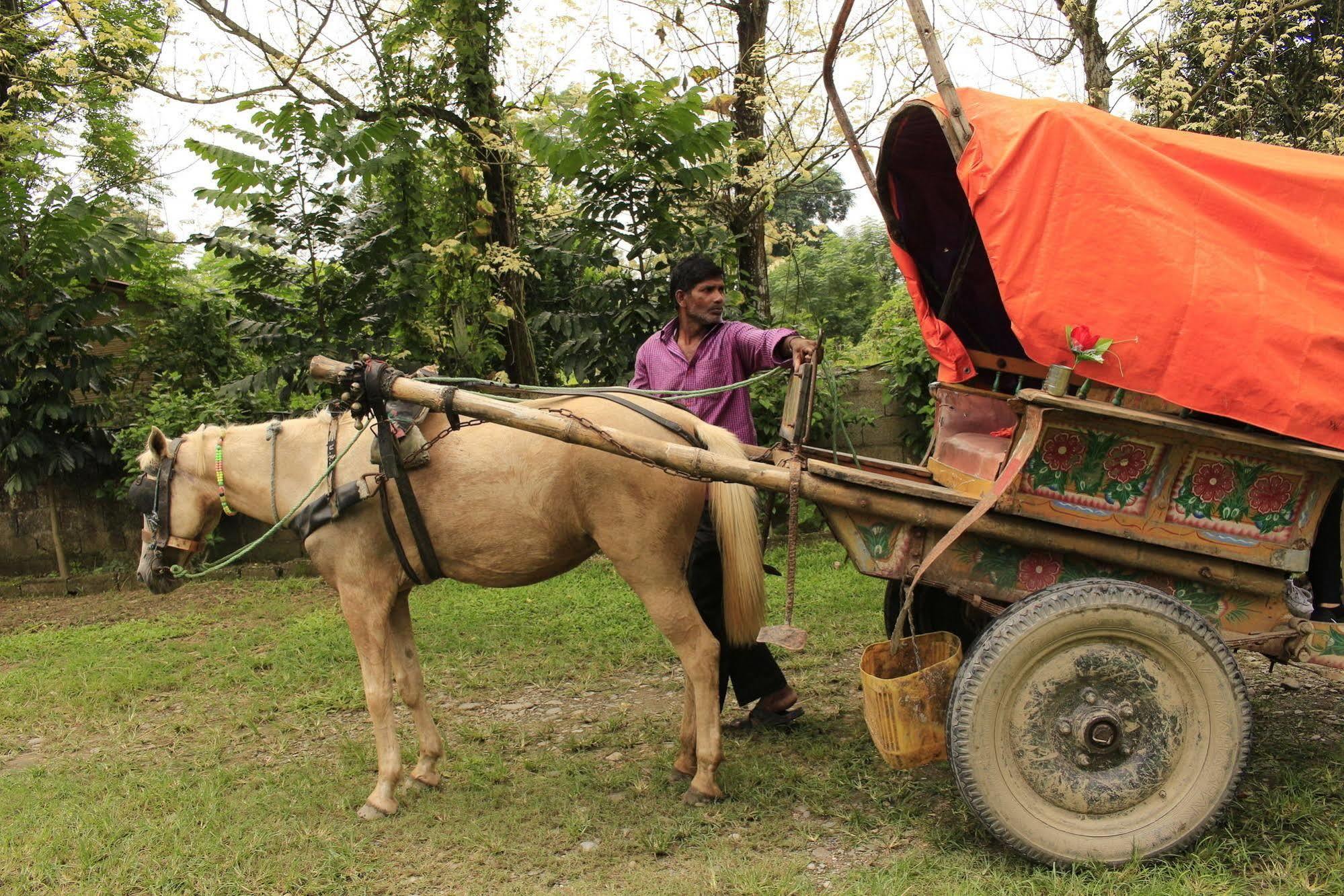 Chitwan Safari Camp & Lodge Sauraha Eksteriør bilde