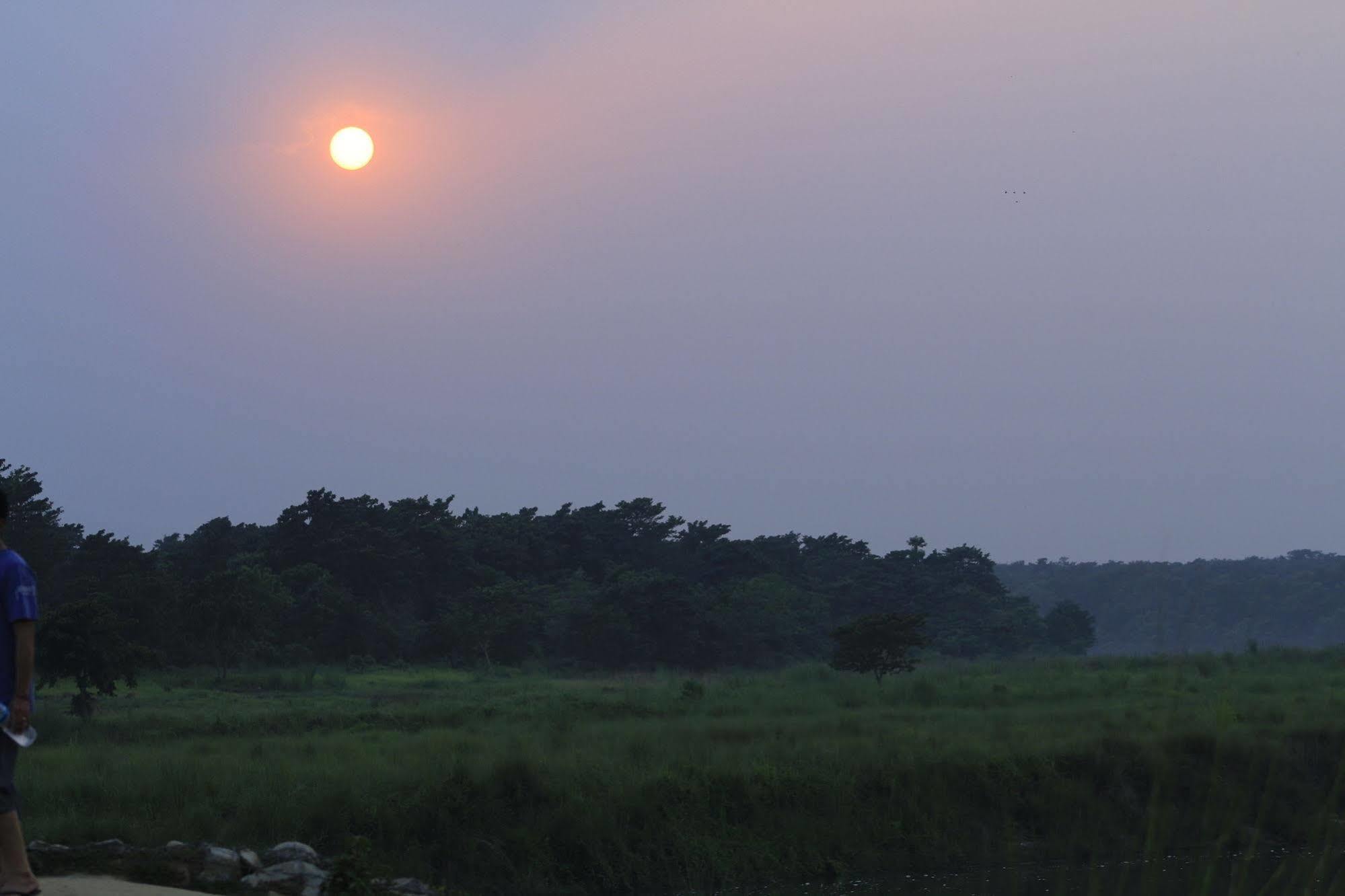 Chitwan Safari Camp & Lodge Sauraha Eksteriør bilde